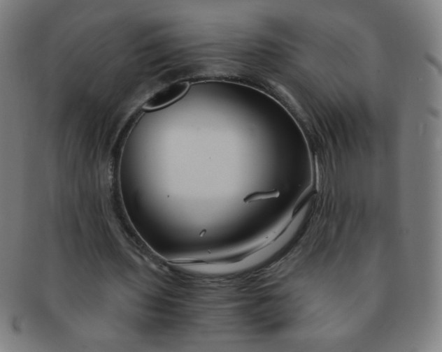 X0000091340435200708241226