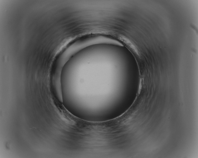 X0000091340436200708241226