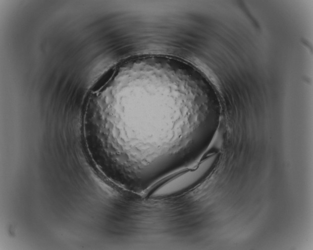 X0000091340437200708241226