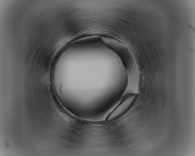 X0000091340438200708241226