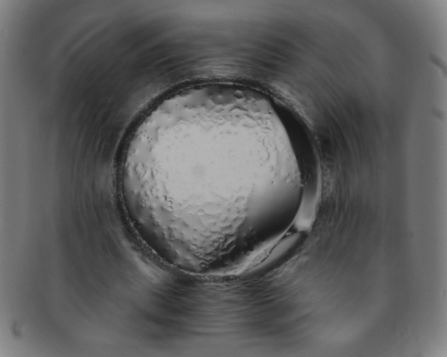 X0000091340439200708241226