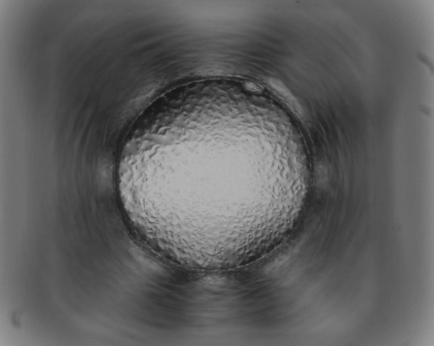 X0000091340441200708241226