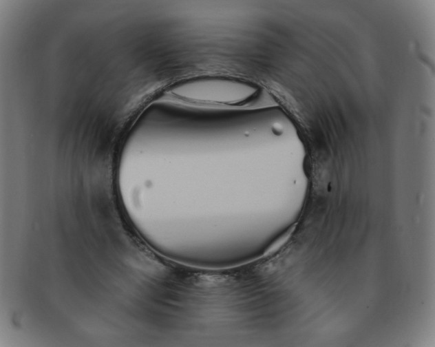 X0000091340442200708241226