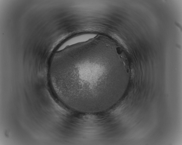 X0000091340444200708241227