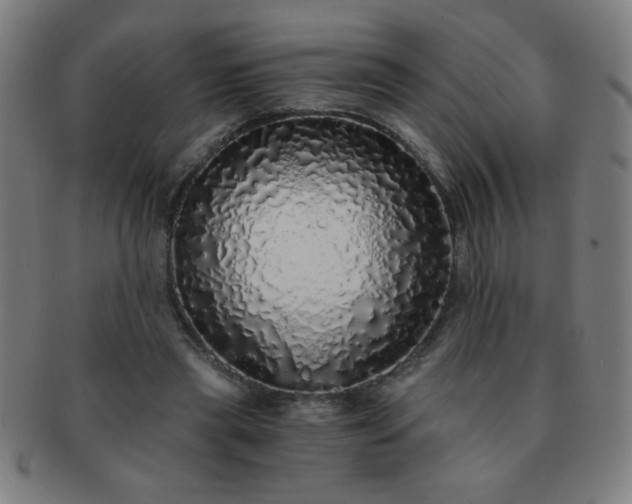 X0000091340445200708241227