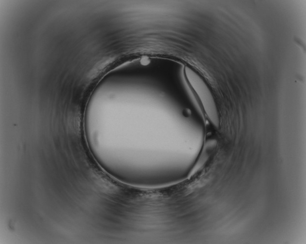 X0000091340446200708241227