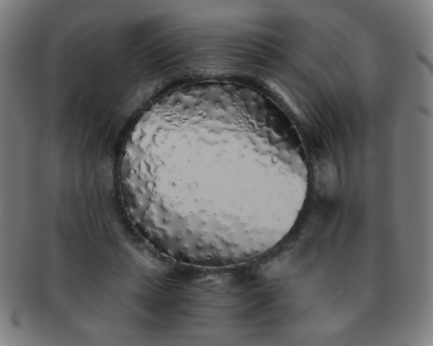 X0000091340447200708241227