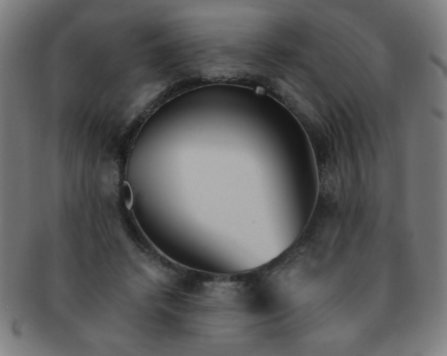 X0000091340448200708241227