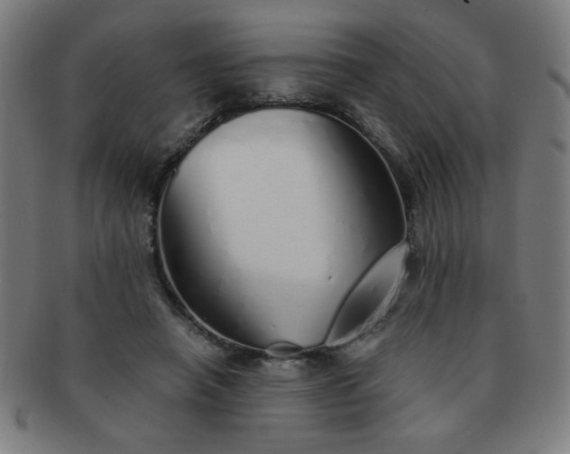 X0000091340450200708241227