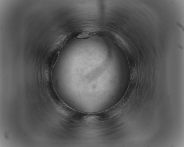 X0000091340452200708241227