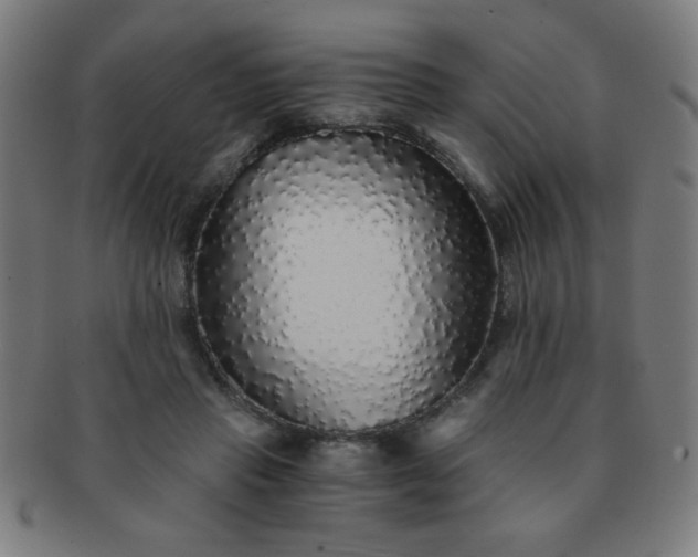 X0000091340453200708241227