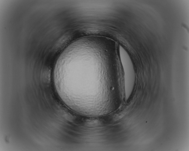 X0000091340454200708241227