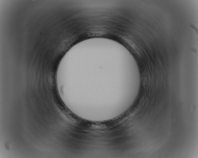 X0000091340455200708241227