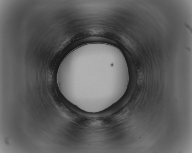 X0000091340456200708241227