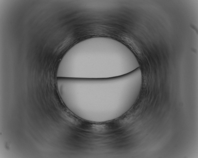 X0000091340457200708241227