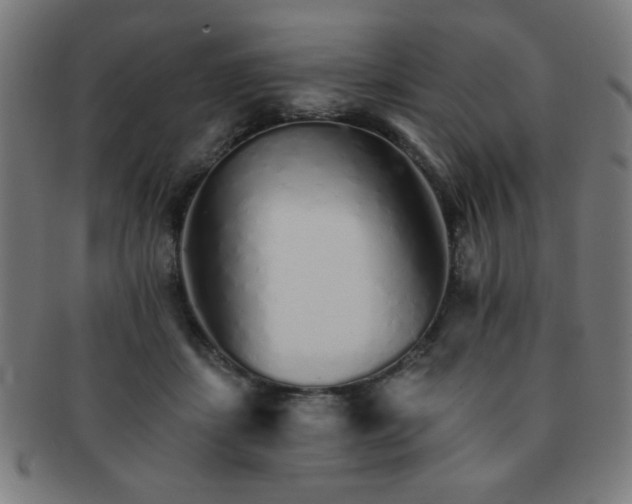 X0000091340459200708241227