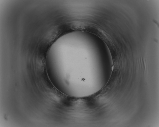 X0000091340460200708241227