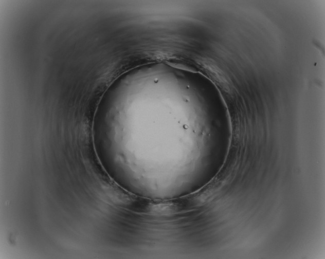 X0000091340461200708241227