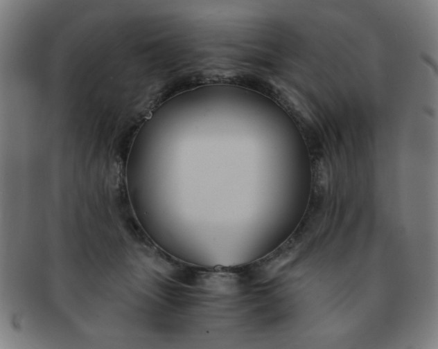 X0000091340463200708241227