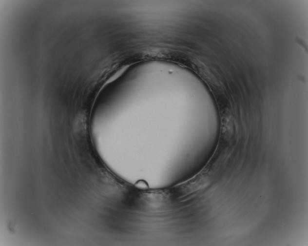 X0000091340466200708241227