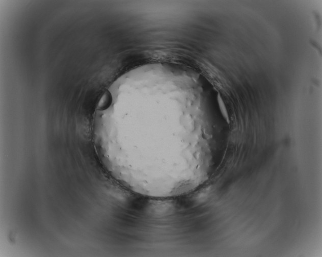 X0000091340469200708241227