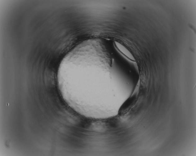 X0000091340470200708241227