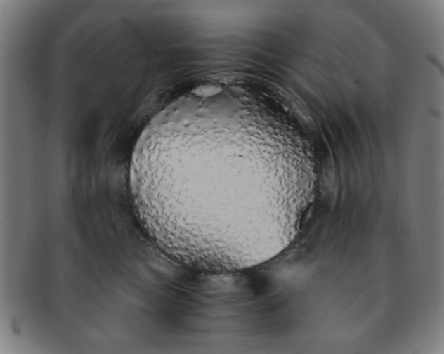 X0000091340473200708241227