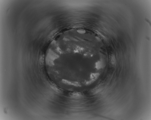 X0000091340475200708241227