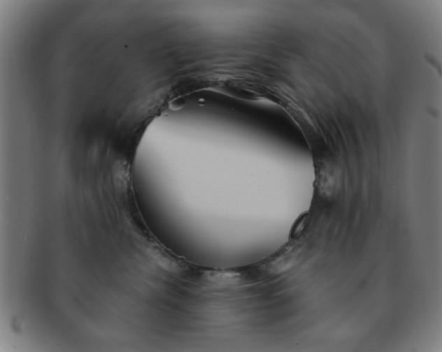 X0000091340476200708241227