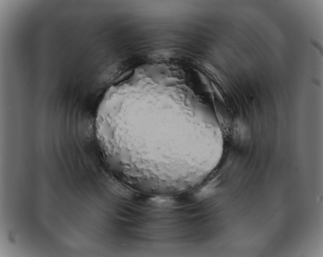 X0000091340477200708241227