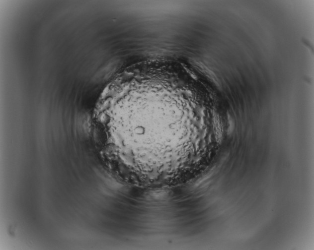 X0000091340479200708241227