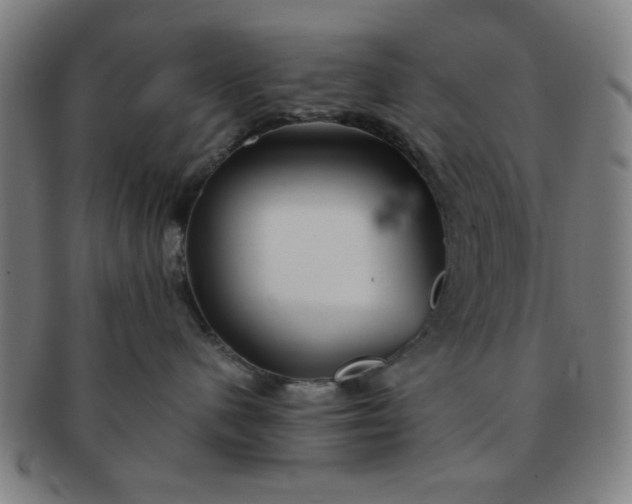 X0000091340480200708241227