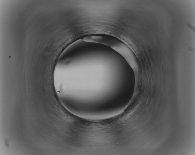 X0000091340481200708241226