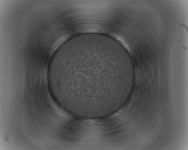 X0000091340482200708241226