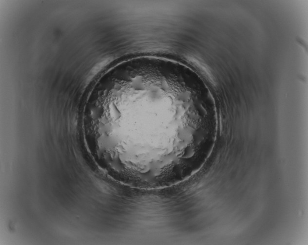 X0000091340483200708241226