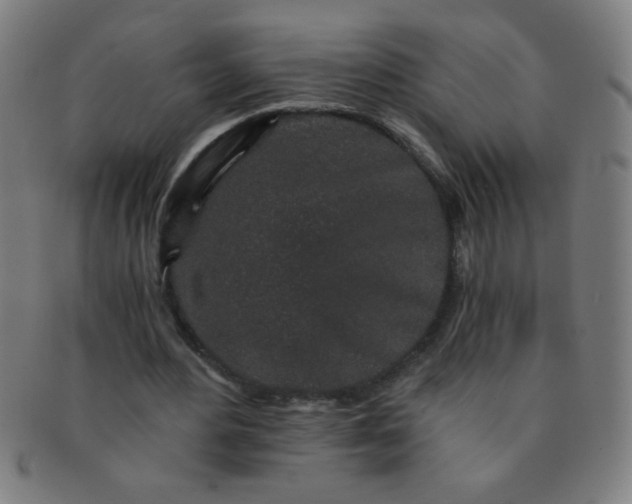 X0000091340484200708241226