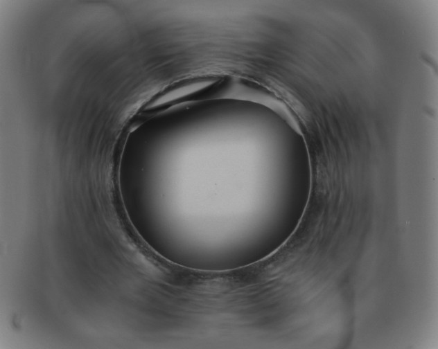 X0000091340485200708241226