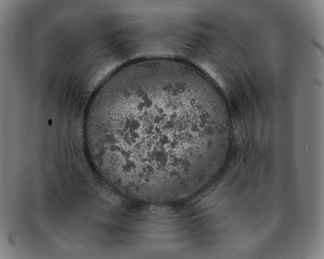 X0000091340487200708241226