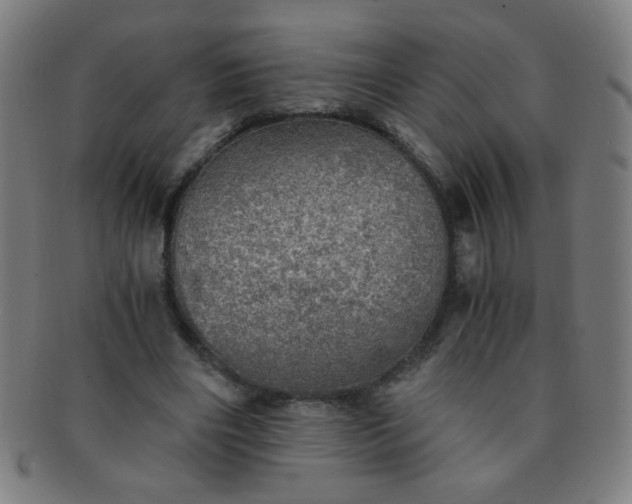 X0000091340490200708241226