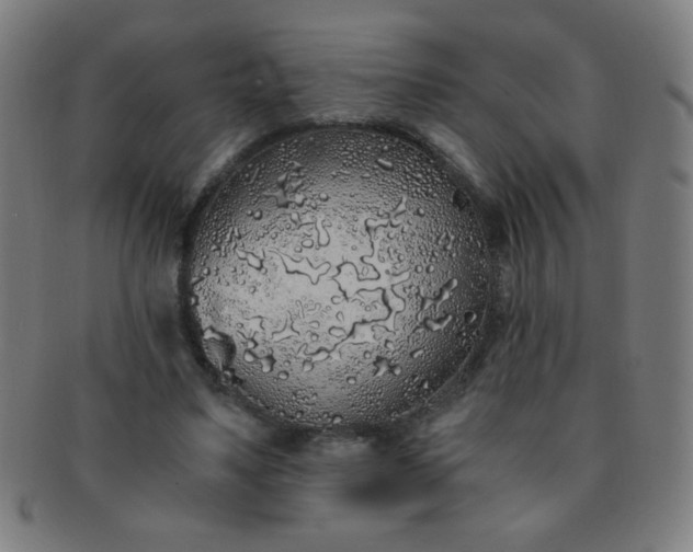 X0000091340491200708241226