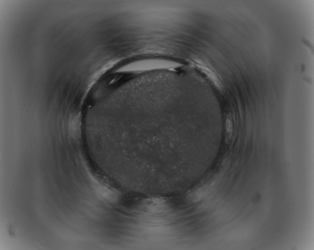 X0000091340492200708241226