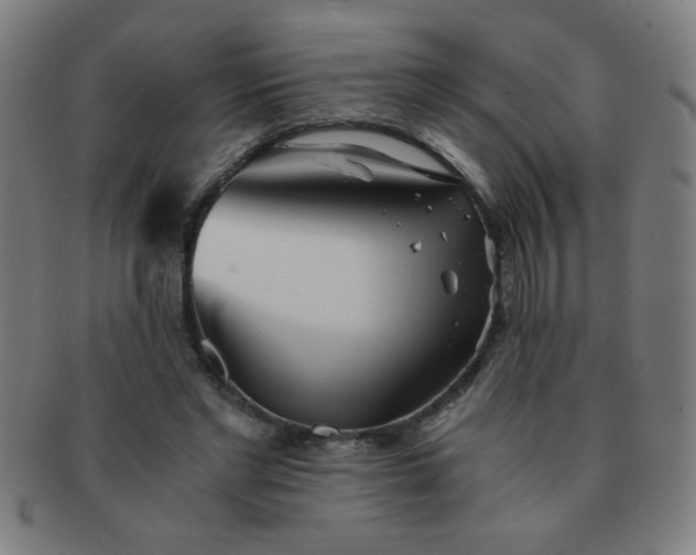 X0000091340493200708241226