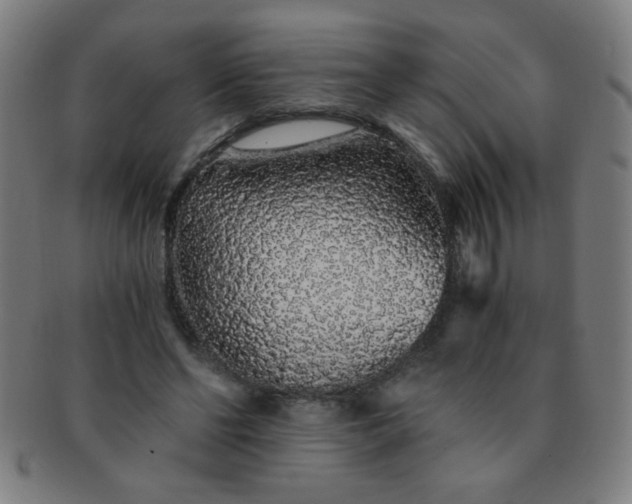 X0000091340494200708241226