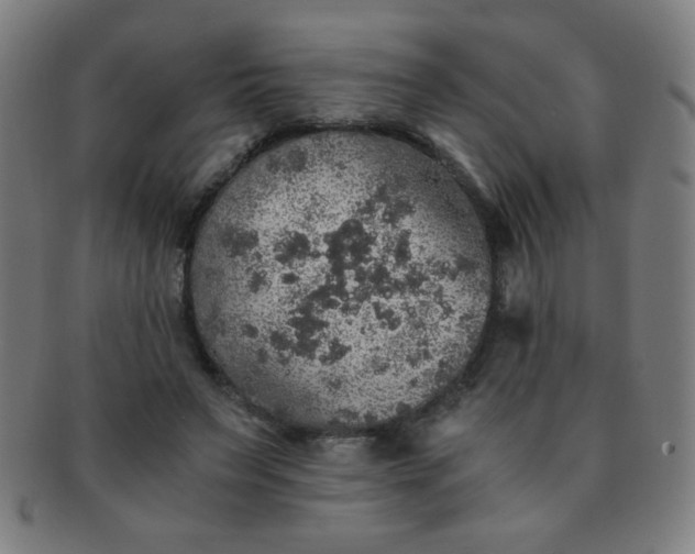 X0000091340495200708241226