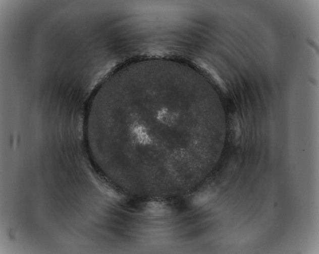 X0000091340496200708241226