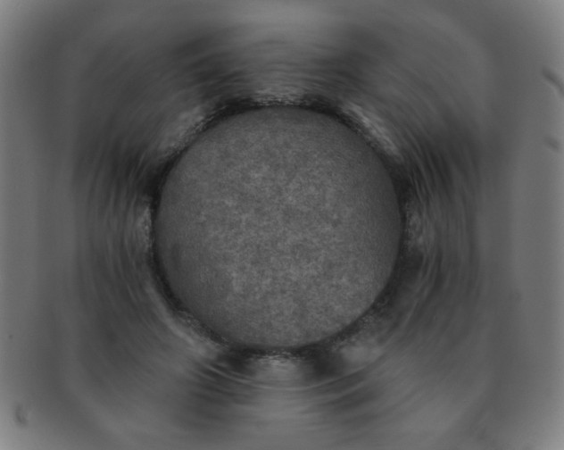 X0000091340498200708241226