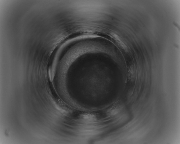 X0000091340500200708241226