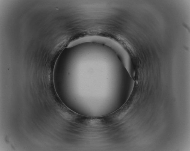 X0000091340501200708241226