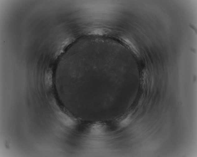 X0000091340504200708241226