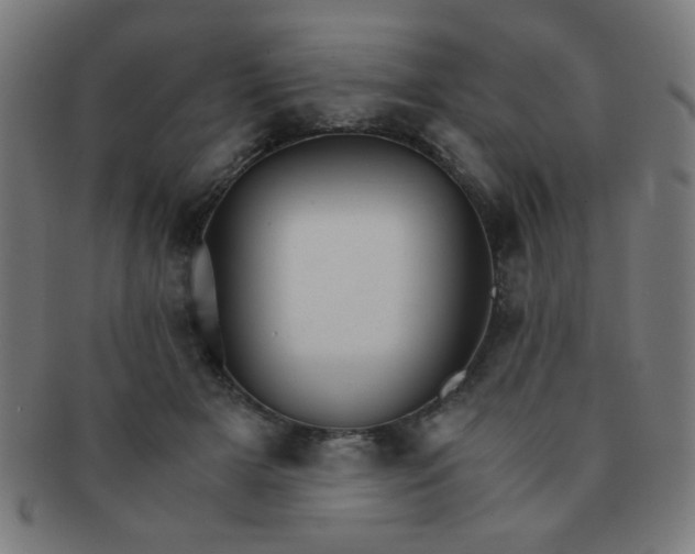 X0000091340505200708241226